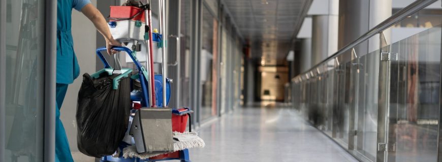 wmremove-transformed (38)